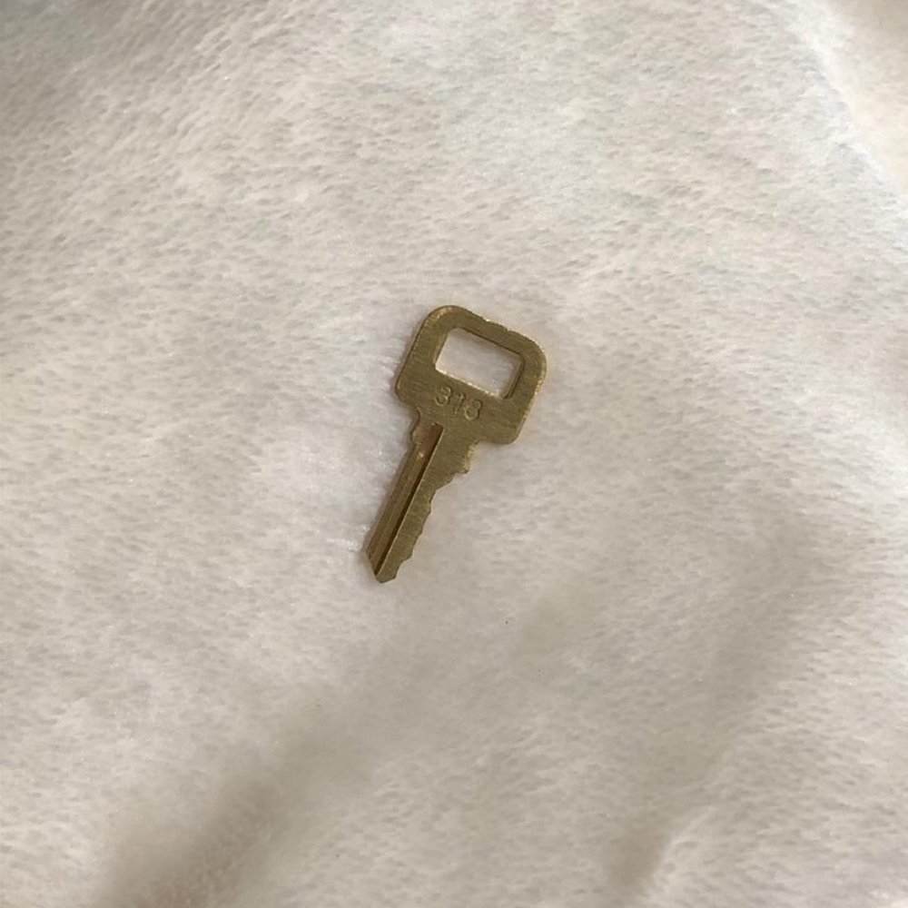 Louis Vuitton key